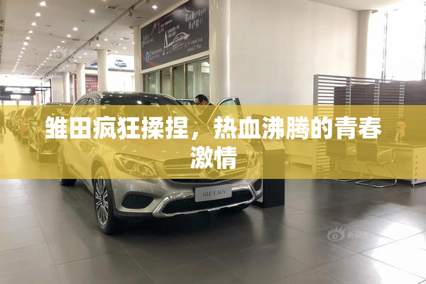 雏田疯狂揉捏，热血沸腾的青春激情