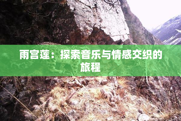 雨宫莲：探索音乐与情感交织的旅程