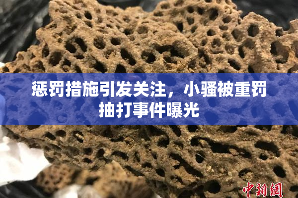 惩罚措施引发关注，小骚被重罚抽打事件曝光