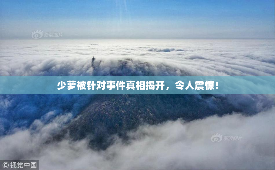 少萝被针对事件真相揭开，令人震惊！