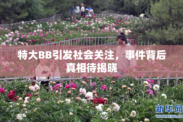 特大BB引发社会关注，事件背后真相待揭晓