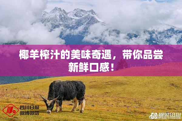 椰羊榨汁的美味奇遇，带你品尝新鲜口感！