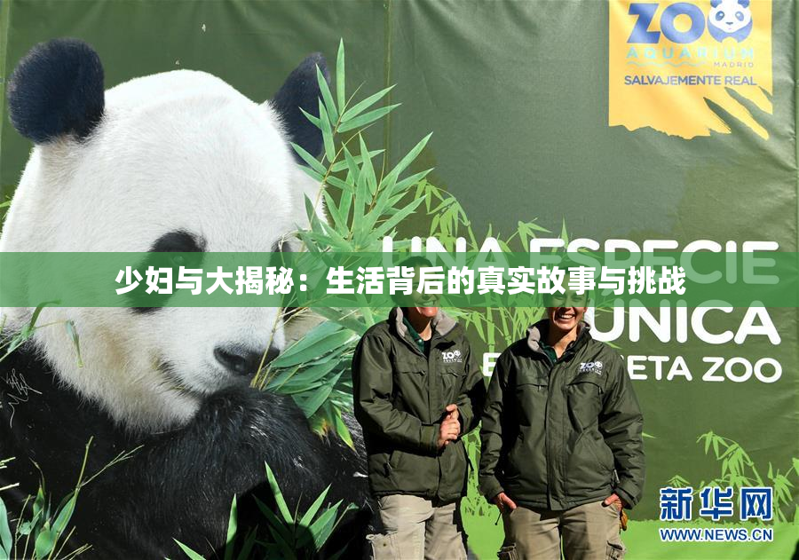 少妇与大揭秘：生活背后的真实故事与挑战