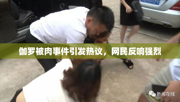 伽罗被肉事件引发热议，网民反响强烈