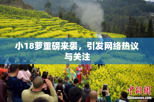 小18萝重磅来袭，引发网络热议与关注