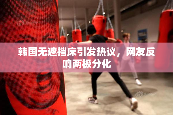 韩国无遮挡床引发热议，网友反响两极分化