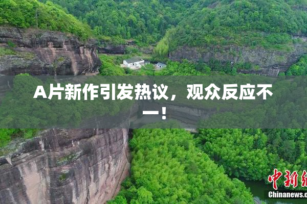 A片新作引发热议，观众反应不一！