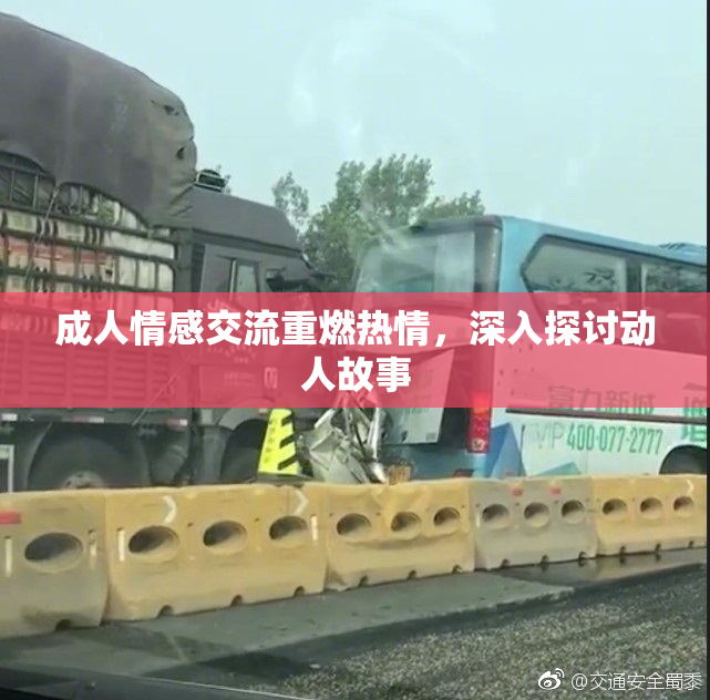 成人情感交流重燃热情，深入探讨动人故事