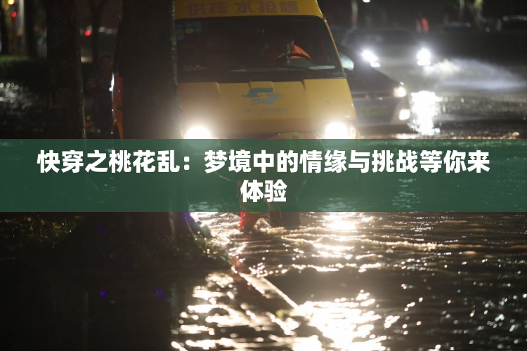 快穿之桃花乱：梦境中的情缘与挑战等你来体验