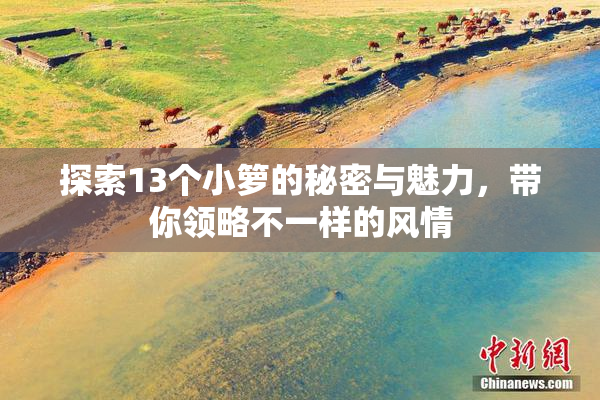 探索13个小箩的秘密与魅力，带你领略不一样的风情