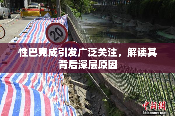 性巴克成引发广泛关注，解读其背后深层原因