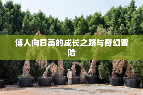 博人向日葵的成长之路与奇幻冒险