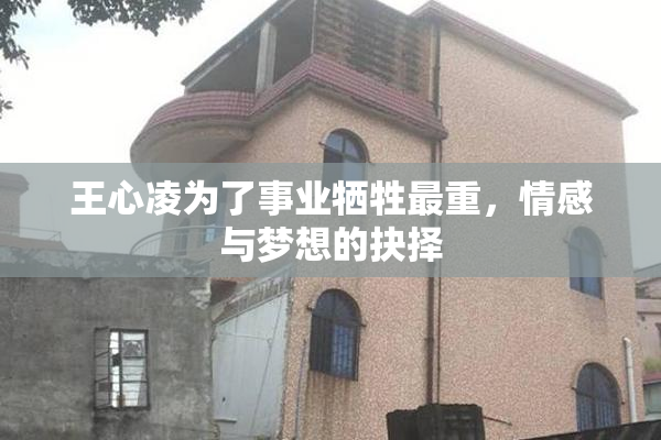 王心凌为了事业牺牲最重，情感与梦想的抉择