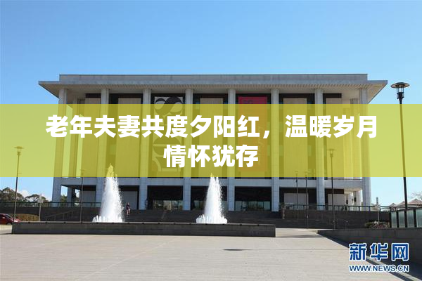 老年夫妻共度夕阳红，温暖岁月情怀犹存