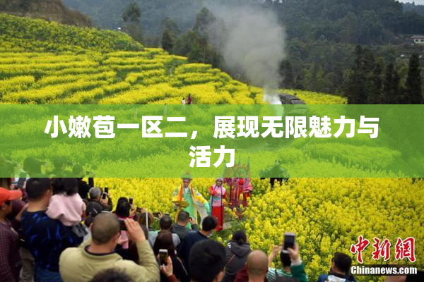 小嫩苞一区二，展现无限魅力与活力