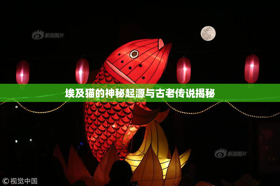 埃及猫的神秘起源与古老传说揭秘