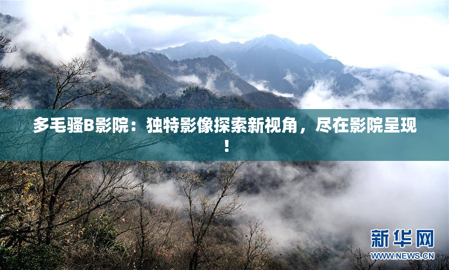 多毛骚B影院：独特影像探索新视角，尽在影院呈现！