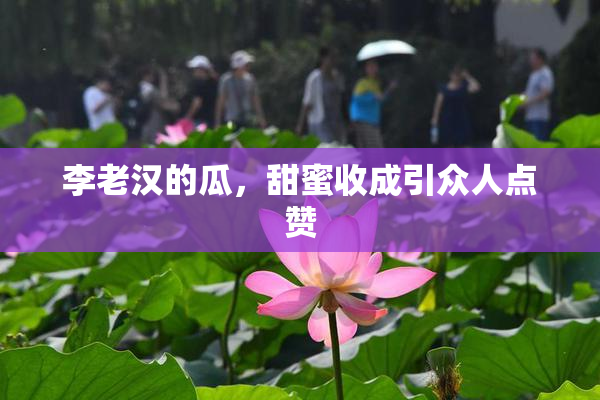 李老汉的瓜，甜蜜收成引众人点赞