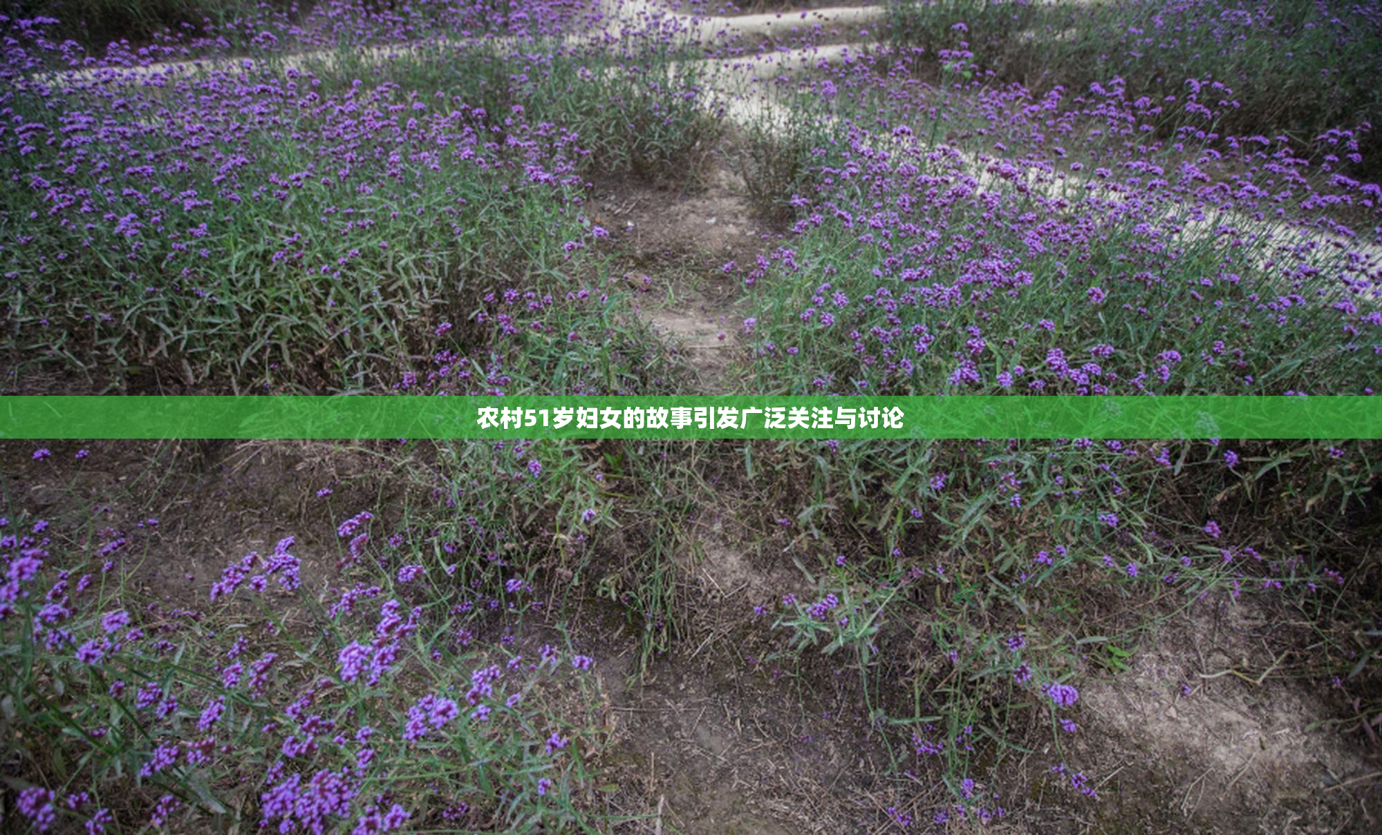 农村51岁妇女的故事引发广泛关注与讨论