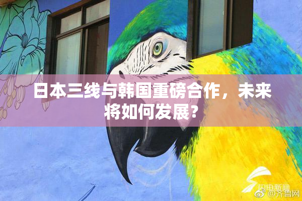 日本三线与韩国重磅合作，未来将如何发展？