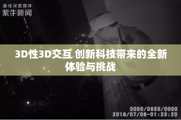 3D性3D交互 创新科技带来的全新体验与挑战