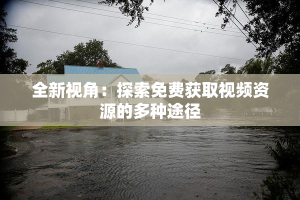 全新视角：探索免费获取视频资源的多种途径