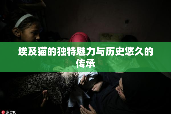 埃及猫的独特魅力与历史悠久的传承