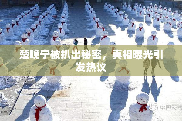 楚晚宁被扒出秘密，真相曝光引发热议