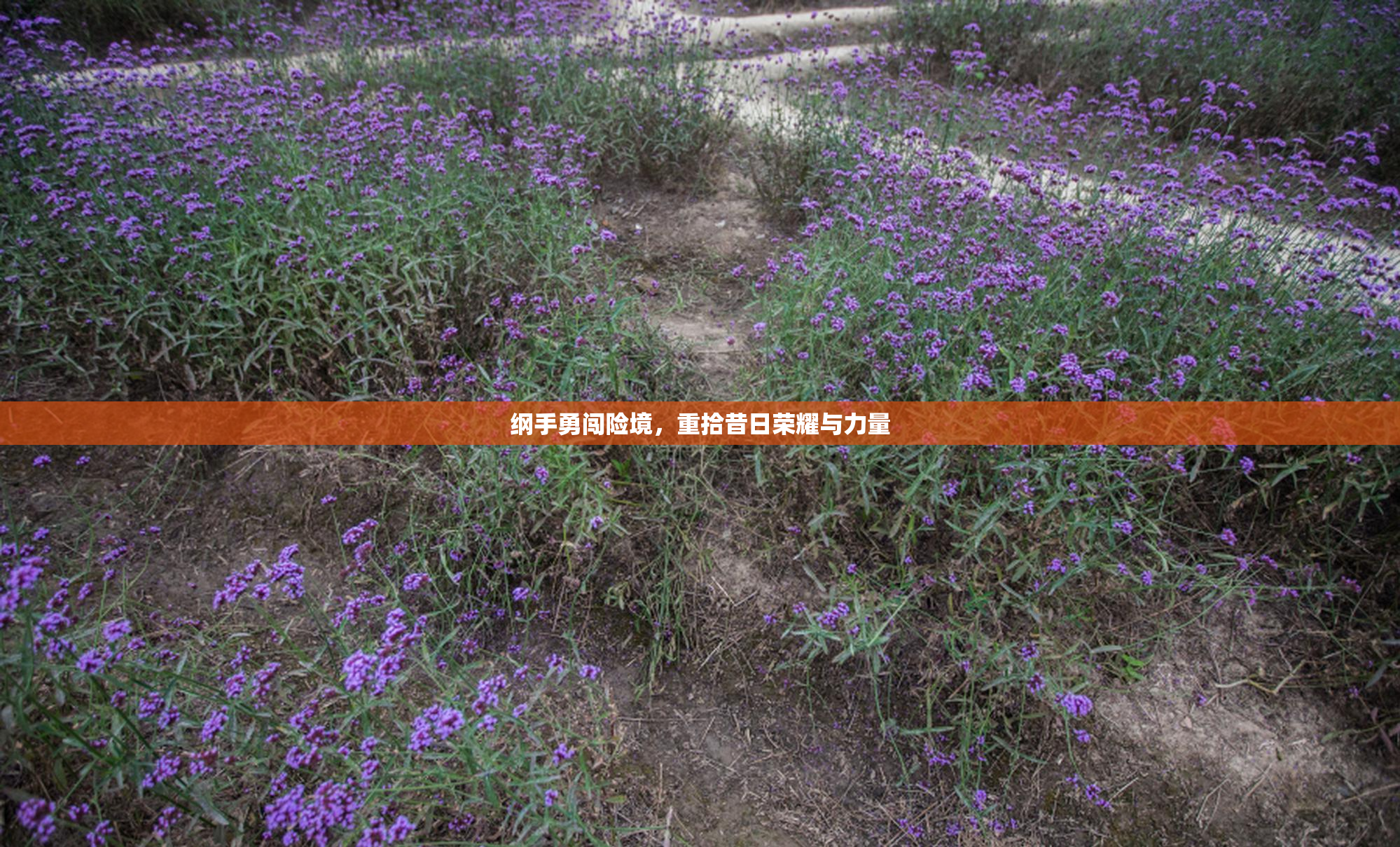 纲手勇闯险境，重拾昔日荣耀与力量