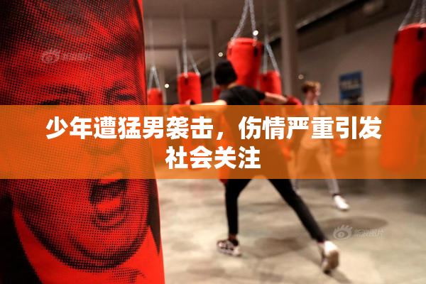 少年遭猛男袭击，伤情严重引发社会关注