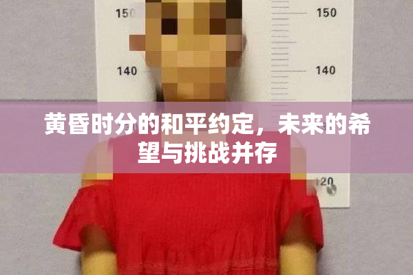 黄昏时分的和平约定，未来的希望与挑战并存