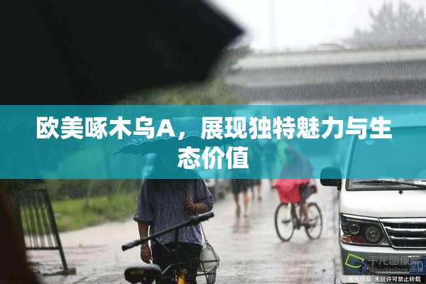 欧美啄木乌A，展现独特魅力与生态价值