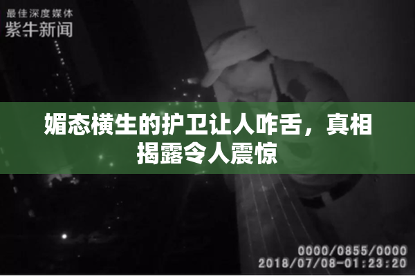 媚态横生的护卫让人咋舌，真相揭露令人震惊