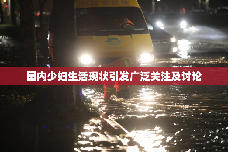 国内少妇生活现状引发广泛关注及讨论