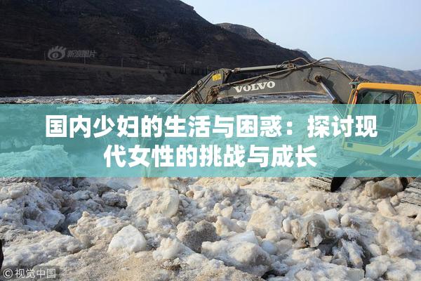 国内少妇的生活与困惑：探讨现代女性的挑战与成长