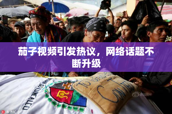 茄子视频引发热议，网络话题不断升级
