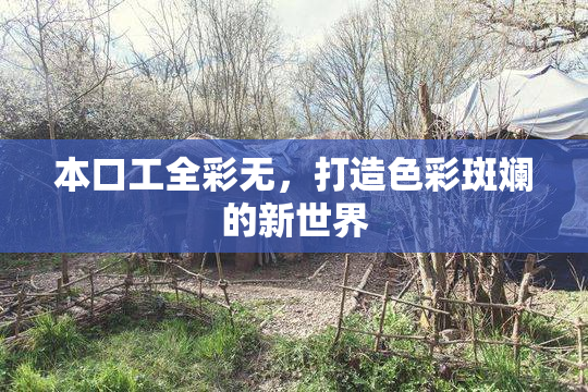 本口工全彩无，打造色彩斑斓的新世界