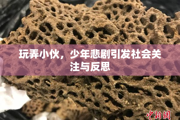 玩弄小伙，少年悲剧引发社会关注与反思