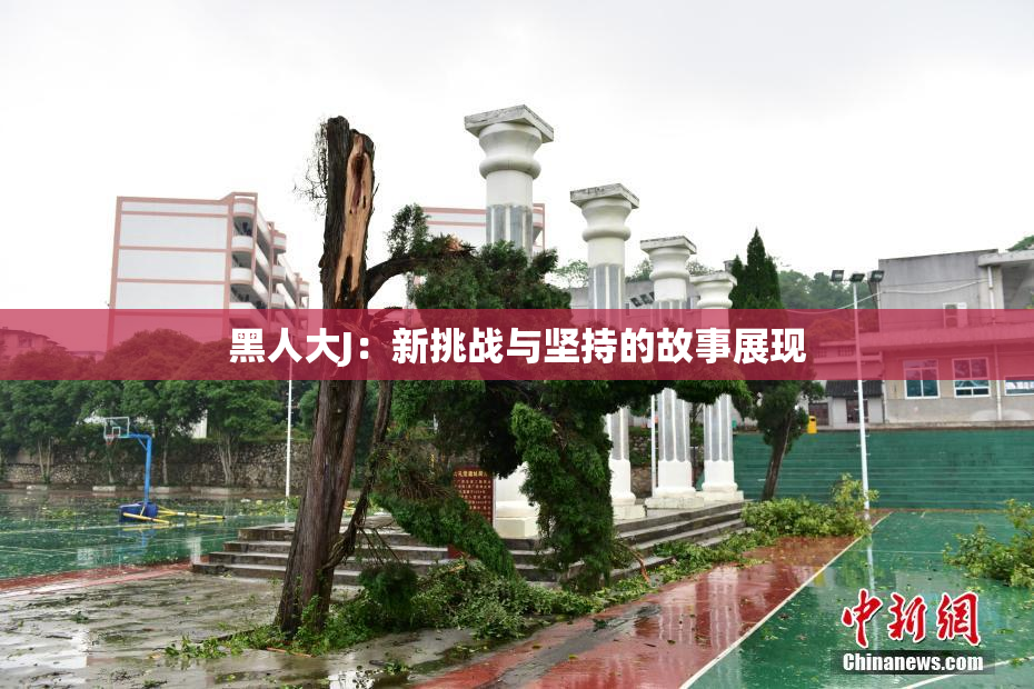 黑人大J：新挑战与坚持的故事展现