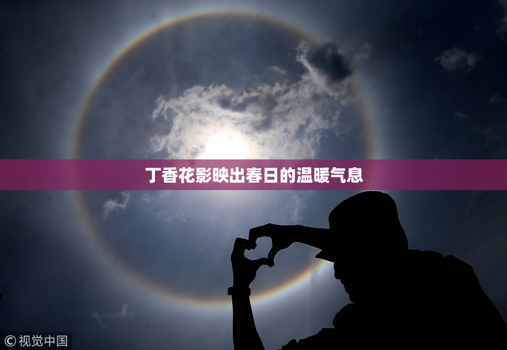 丁香花影映出春日的温暖气息