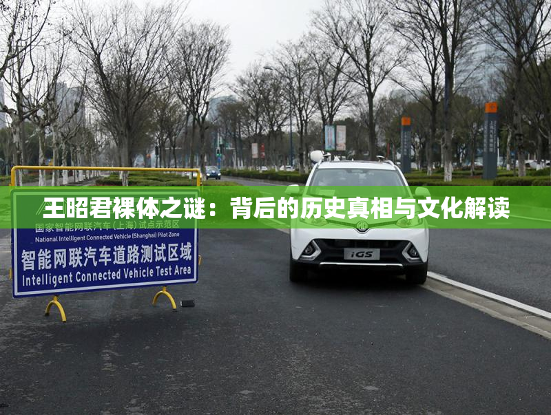 王昭君裸体之谜：背后的历史真相与文化解读