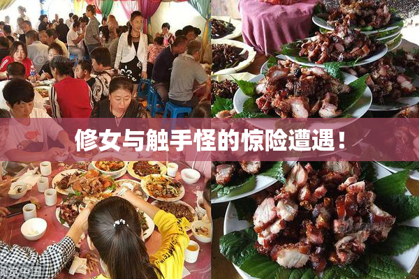 修女与触手怪的惊险遭遇！