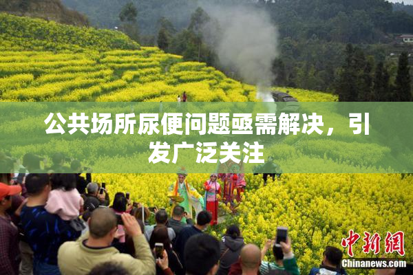 公共场所尿便问题亟需解决，引发广泛关注