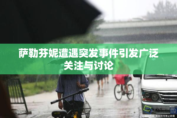 萨勒芬妮遭遇突发事件引发广泛关注与讨论