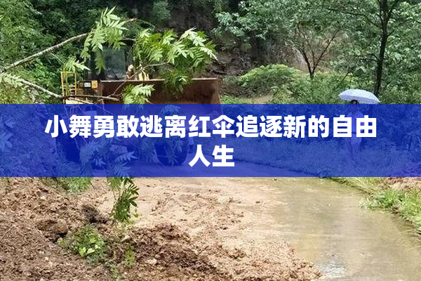 小舞勇敢逃离红伞追逐新的自由人生