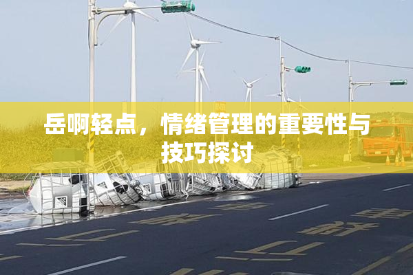 岳啊轻点，情绪管理的重要性与技巧探讨