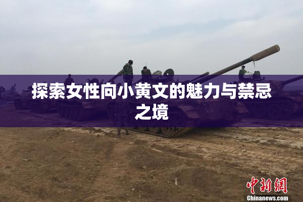 探索女性向小黄文的魅力与禁忌之境