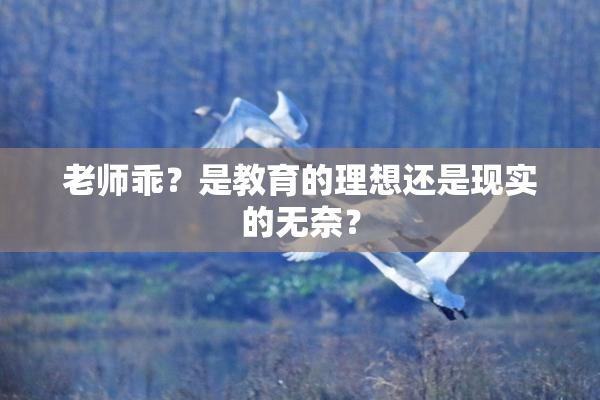 老师乖？是教育的理想还是现实的无奈？