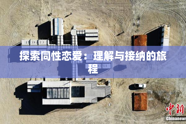 探索同性恋爱：理解与接纳的旅程