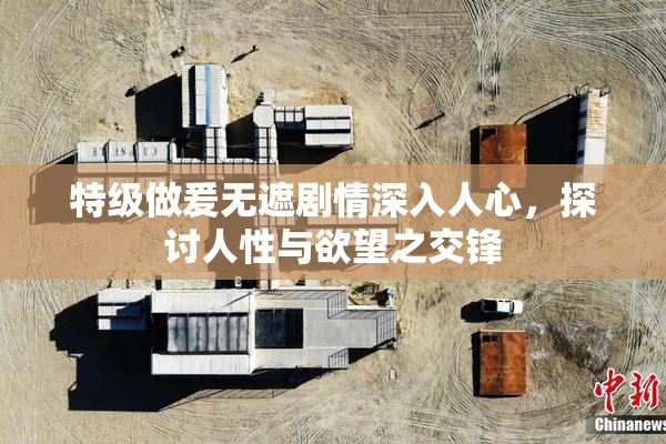 特级做爰无遮剧情深入人心，探讨人性与欲望之交锋